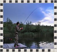carp